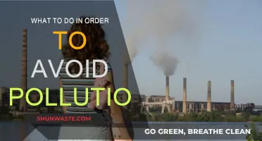 Green Actions: Preventing Pollution and Protecting Our Planet