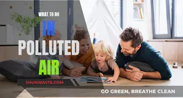 Protecting Yourself from Polluted Air
