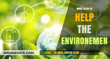 Sustainable Steps: Simple Actions to Protect and Restore Our Environment