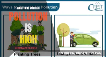 Protecting Yourself from Air Pollution: Tips and Tricks