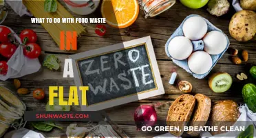 Creative Ways to Reduce Food Waste in Your Flat