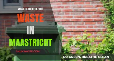 Sustainable Solutions: Reducing Food Waste in Maastricht