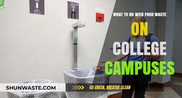 Sustainable Solutions: Tackling Food Waste on College Campuses