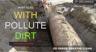Transforming Polluted Dirt: Creative and Eco-Friendly Solutions