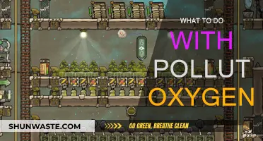 Purifying Polluted Air: Strategies for Cleaner Oxygen