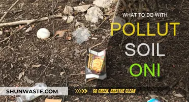 Reviving Polluted Soil: Strategies for Restoration and Rehabilitation