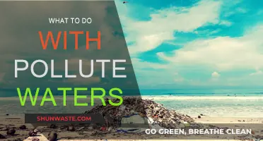 Purifying Polluted Waters: Strategies for Revitalization
