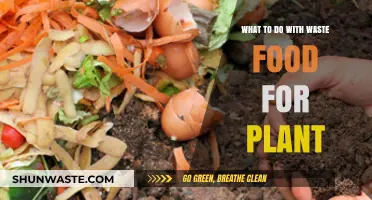 From Scraps to Soil: Creative Ways to Repurpose Food Waste for Your Garden