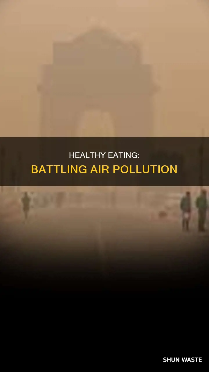 what to eat during air pollution