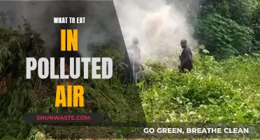 Eat to Beat Air Pollution