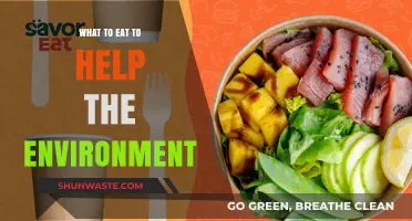 Sustainable Eating: Eco-Friendly Foods to Save Our Planet