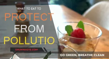 Protecting Your Health: Eating to Fight Pollution