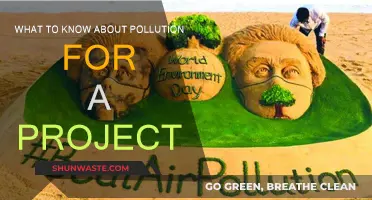 Understanding Pollution: Key Insights for Your Project