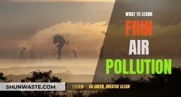 Air Pollution: Lessons for a Sustainable Future