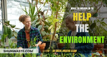 Sustainable Futures: Top Environmental Majors for Eco-Conscious Careers