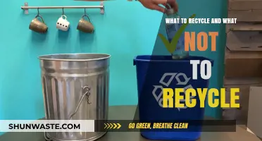 Recycling Made Easy: What to Recycle and What to Avoid
