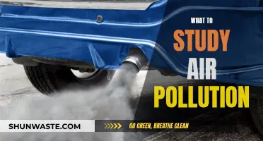 Air Pollution: Understanding the Crisis and Solutions