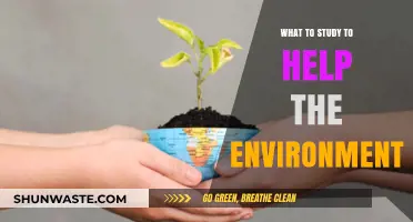 Sustainable Futures: Key Environmental Studies to Drive Positive Change