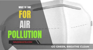 Protecting Yourself from Air Pollution: What to Take