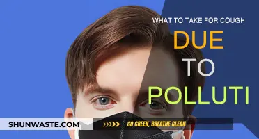 Natural Remedies to Relieve Pollution-Induced Coughs