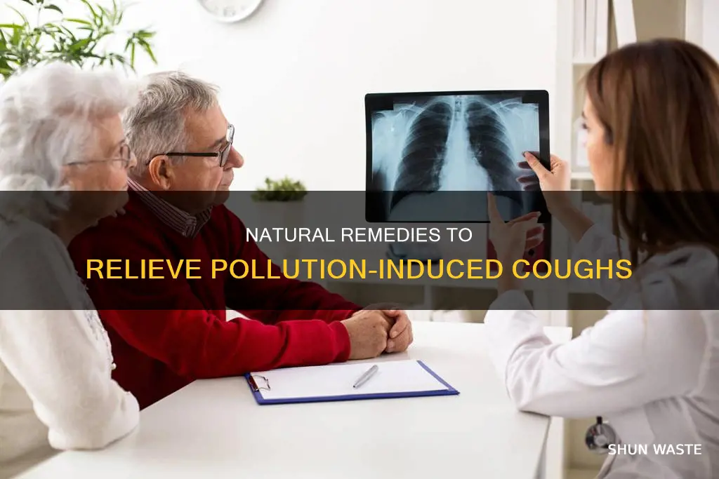 what to take for cough due to pollution