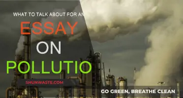 Pollution Essay Topics: Air, Land, and Water