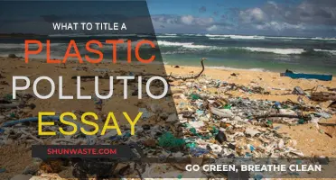 Plastic Pollution: A Global Crisis and Its Solutions