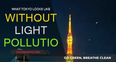 Unveiling Tokyo's Night Sky: A City Without Light Pollution