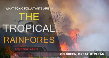 Toxic Invaders: Polluting the Tropical Rainforests
