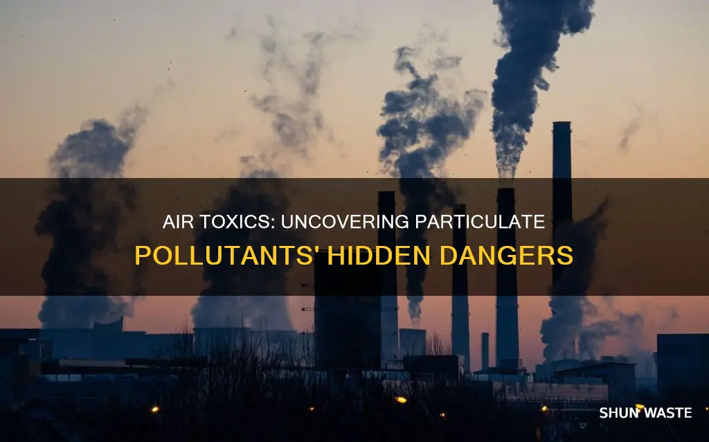 what toxis are presented in air pollution particulates