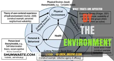 Environmental Influences: Shaping Personality, Behavior, and Physical Traits