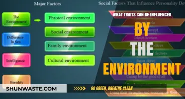 Environmental Impact: Shaping Personality, Behavior, and Intelligence Traits