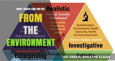 Environmental Influences: Shaping Personality Traits and Behaviors Naturally