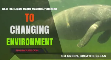 Vulnerable Marine Mammals: Key Traits in a Changing Environment