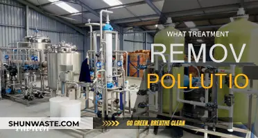 Treatment Options for Pollution-Free Skin