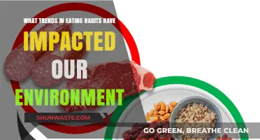 Sustainable Diets: How Changing Eating Habits Shape Our Environment