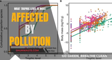 Pollution's Impact: Trophic Levels and Their Vulnerability