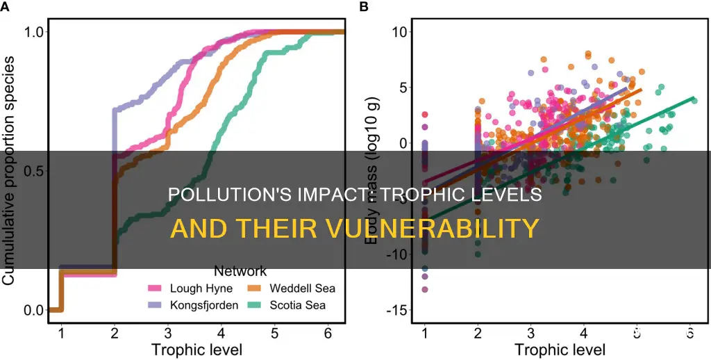 what trophic level is most affected by pollution