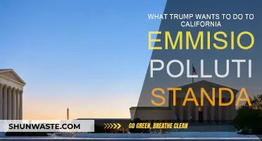 Trump's California Emissions Plan: Chaos or Clarity?