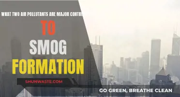 Air Pollutants: Understanding the Main Drivers of Smog Formation