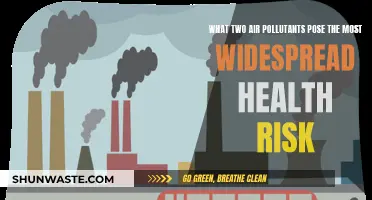 Air Pollutants: The Two Most Dangerous to Your Health