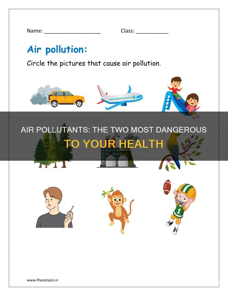 what two air pollutants pose the most widespread health risk