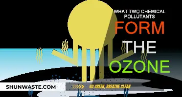 The Chemical Culprits Behind Ozone Layer Depletion