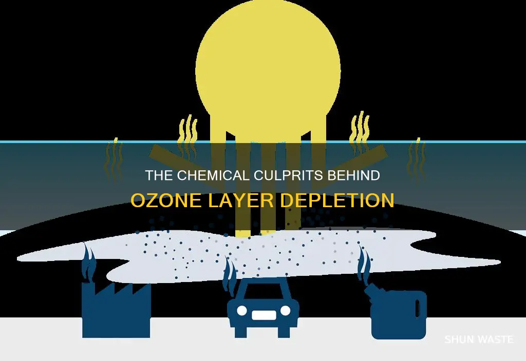 what two chemical pollutants form the ozone