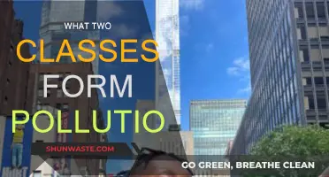 Understanding Pollution: Two Main Classes Explained