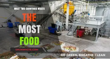 Food Waste Giants: Unveiling the Top Two Culprits Globally