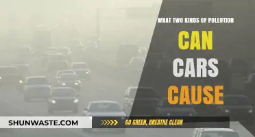 Unveiling the Hidden Hazards: Car Pollution's Dual Impact