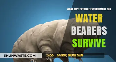 Extreme Survival: Water Bearers' Astonishing Resilience in Harsh Environments