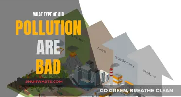 Air Pollution: Understanding the Different Types of Toxic Air