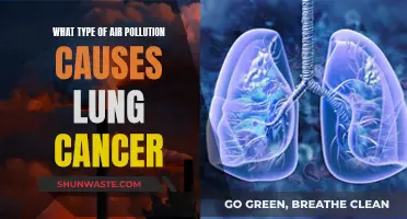 Unveiling the Hidden Culprit: Air Pollution and Lung Cancer